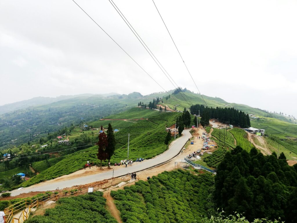 Illam - One of the best places to visit in Nepal